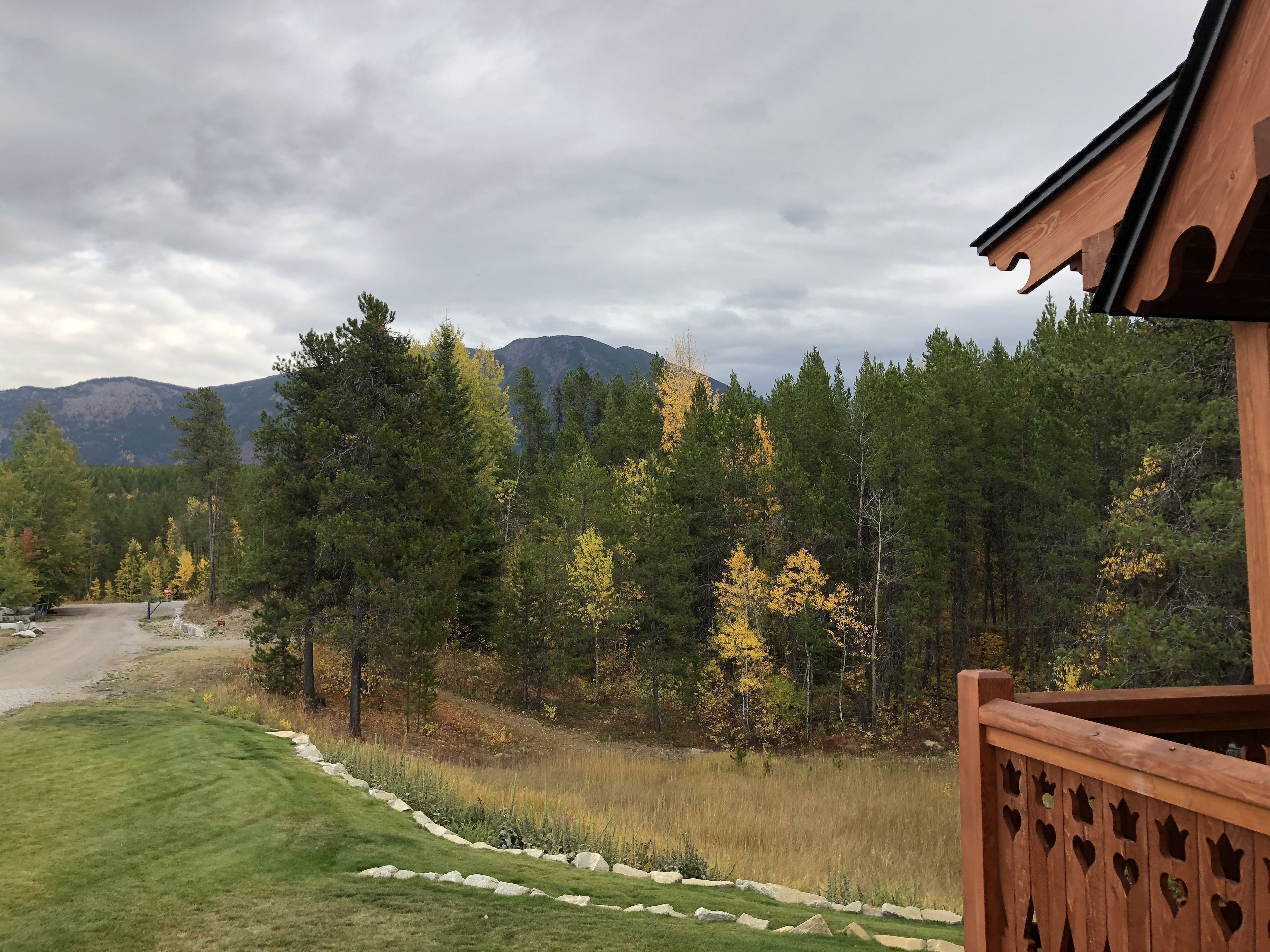 Une terrasse en bois offrant une vue sur une forêt et des montagnes.