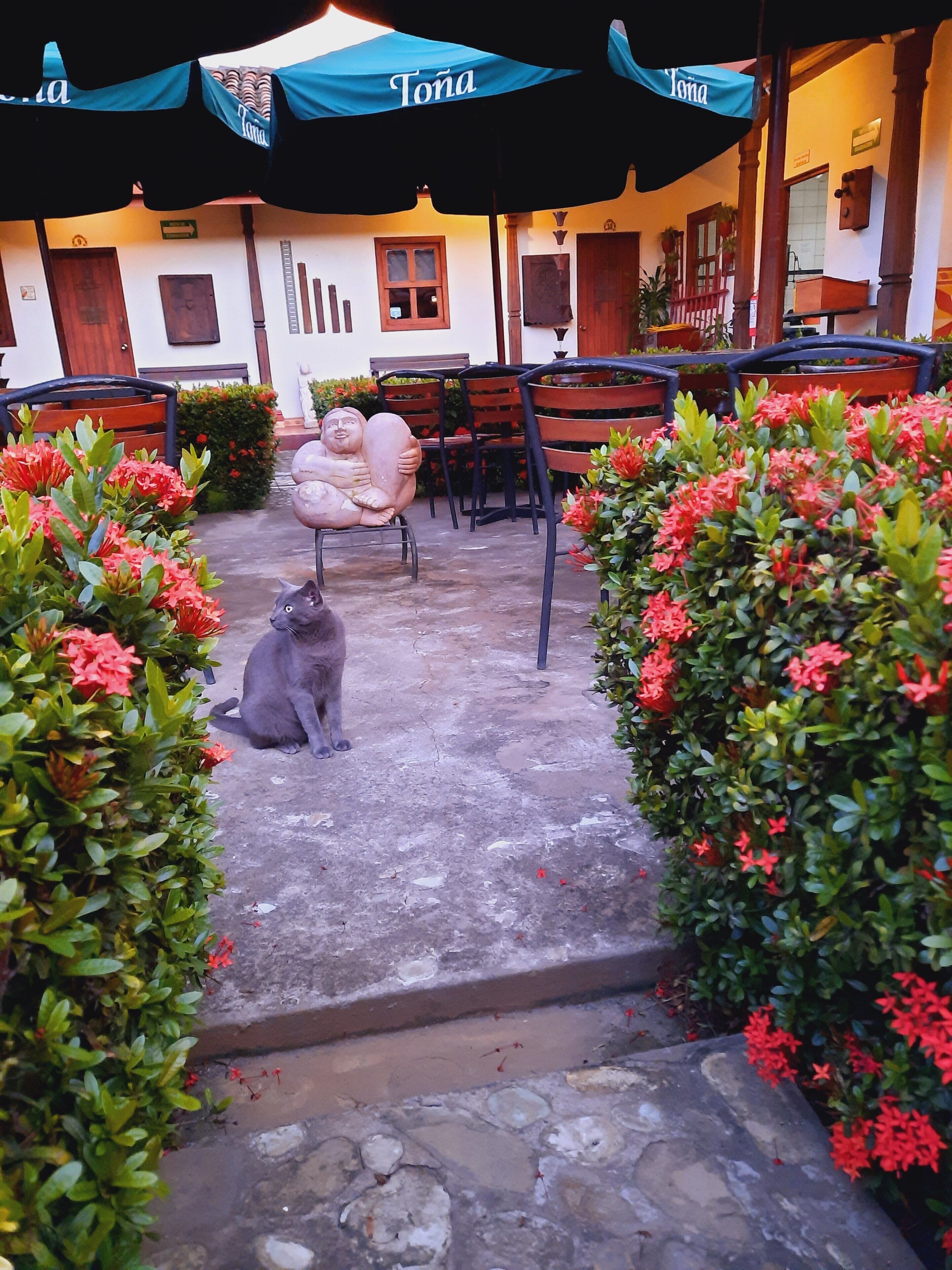 Televisión de pantalla plana de 22 pulgadas con canales por cable 