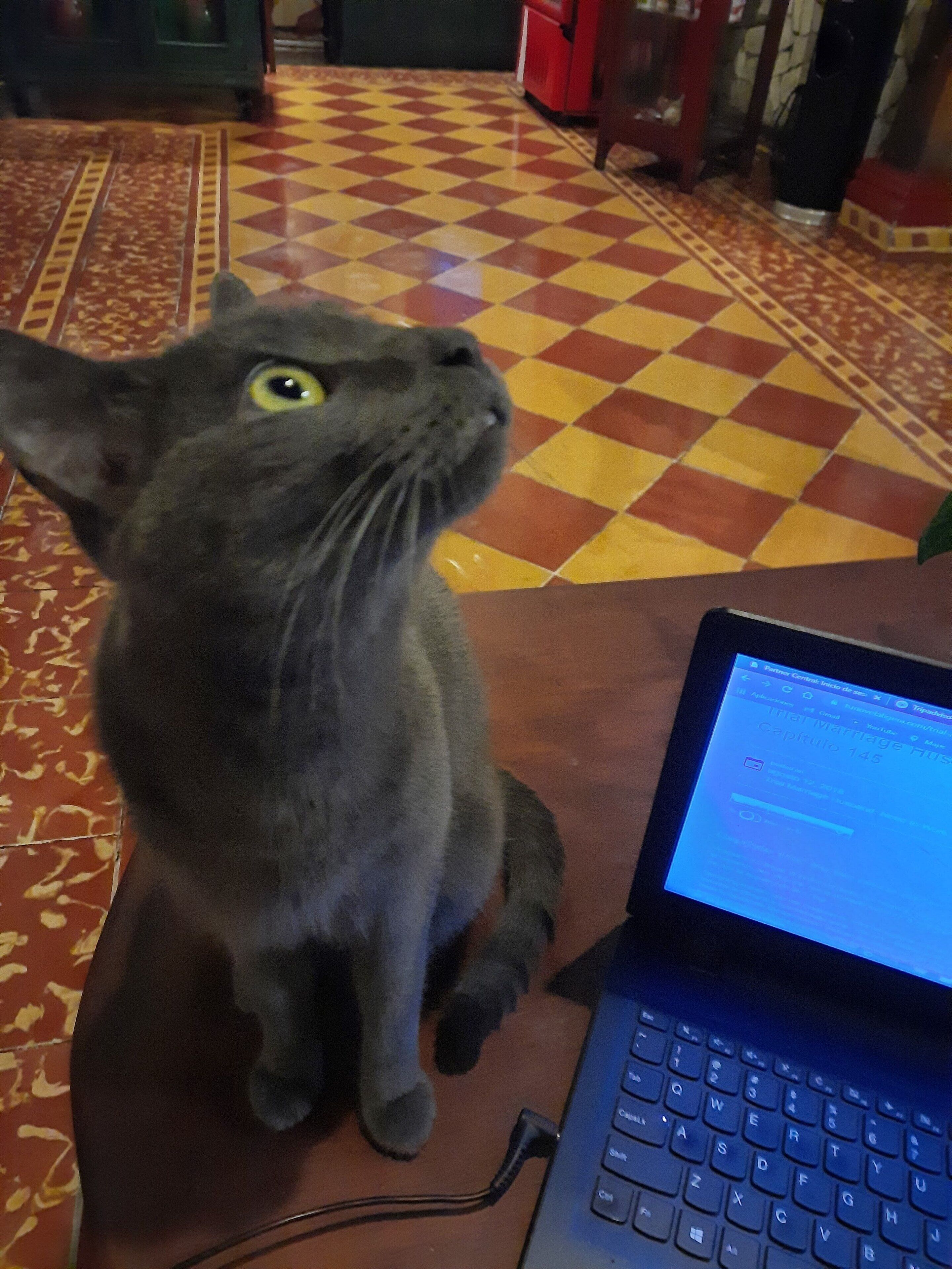 22-inch flat-screen tv with cable channels, tv