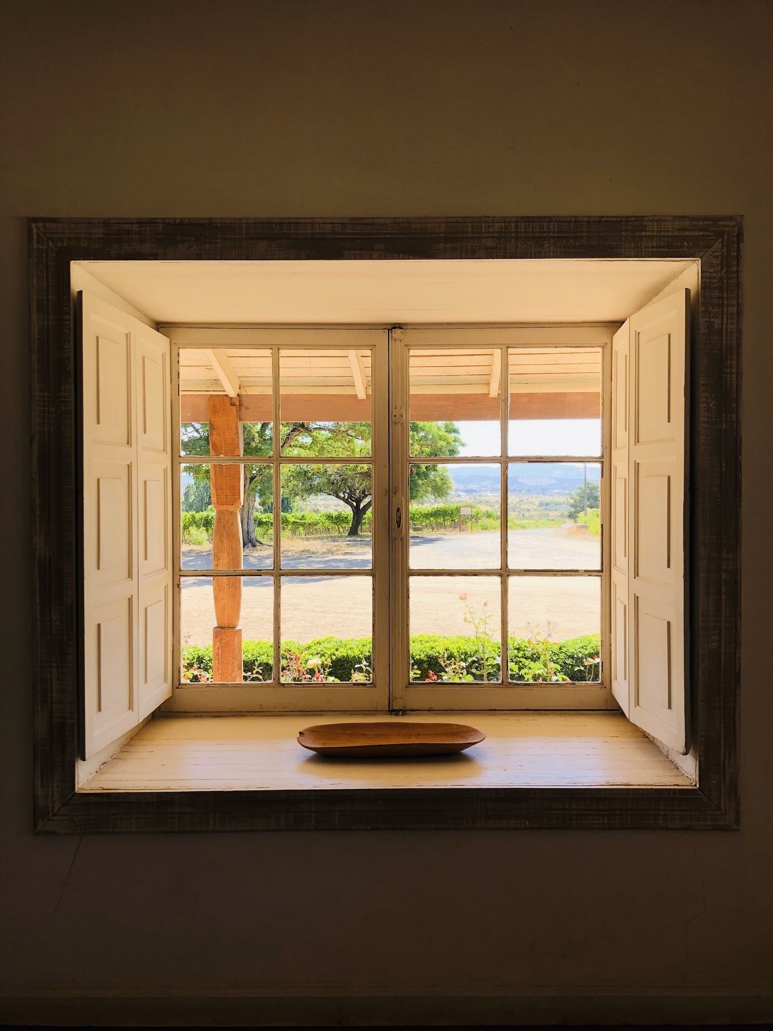 Traditional Suite, 1 Bedroom, Vineyard View | Vineyard view