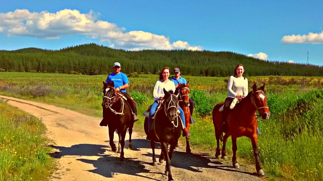 A dirt road with four people riding horses.