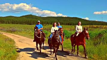 A dirt road with four people riding horses.