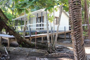 Una casa moderna con terraza de madera, rodeada de árboles y un gran tronco.