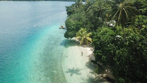 Una playa tropical con aguas turquesas cristalinas, palmeras densas y una cadena montañosa distante.