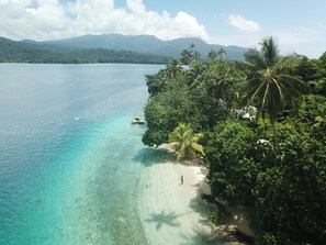 Una playa tropical con aguas turquesas cristalinas, palmeras densas y una cadena montañosa distante.