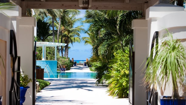 A pathway leading to a pool area with palm trees and a view of the ocean.