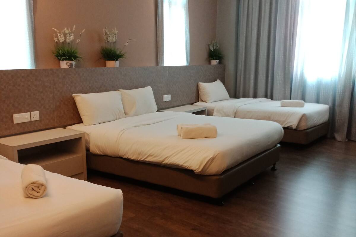 Une chambre d’hôtel avec deux lits, une table de chevet et une plante en pot.