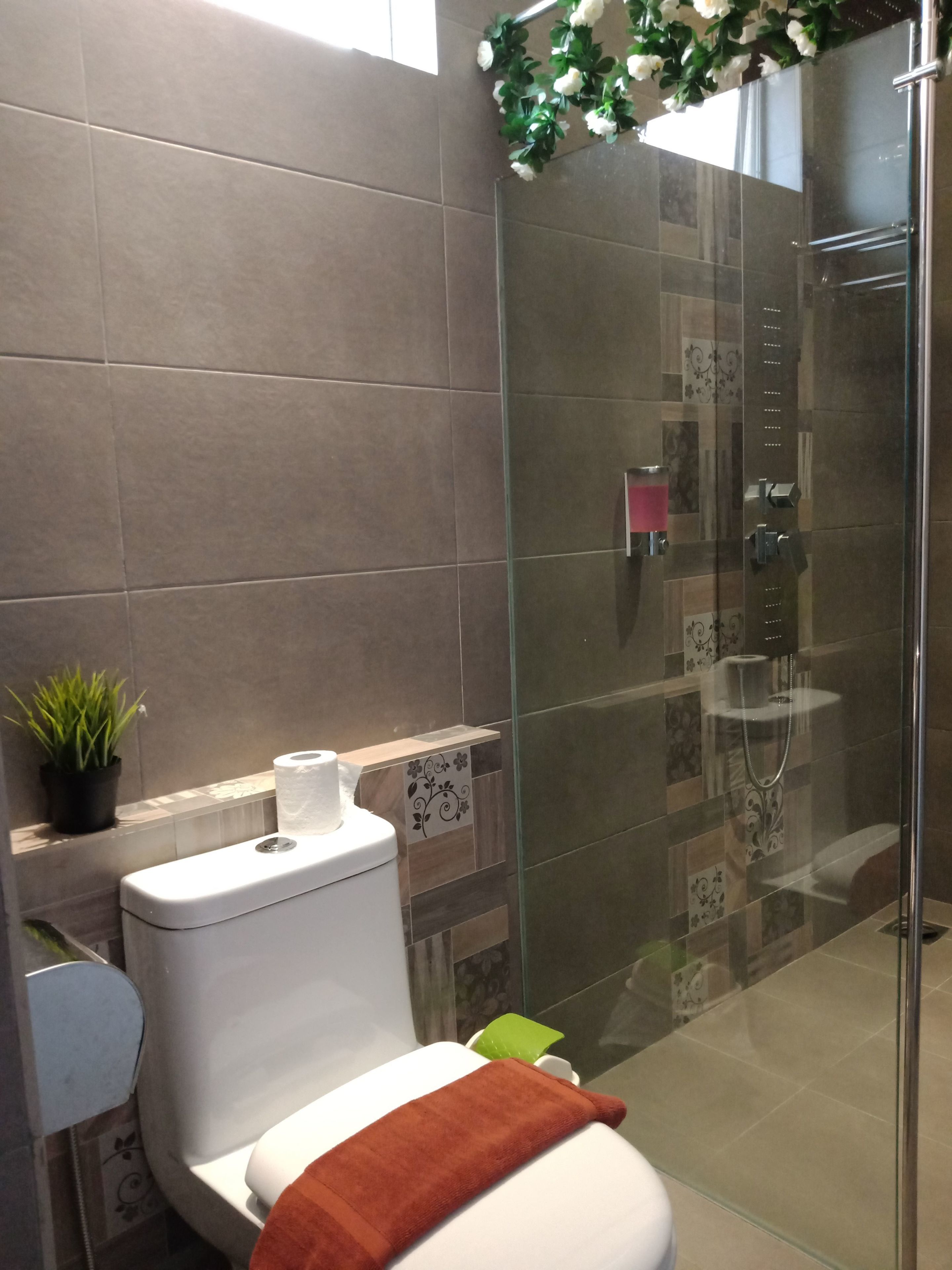 A modern bathroom with a toilet, a glass shower enclosure, and a potted plant.