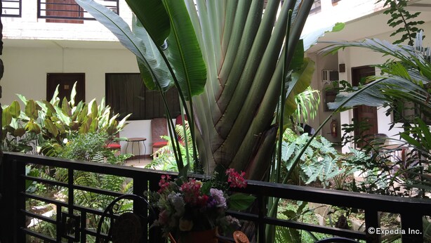 A balcony with a view of a building with multiple windows and balconies, surrounded by lush greenery and various plants. - Balaibinda Lodge (Coron)