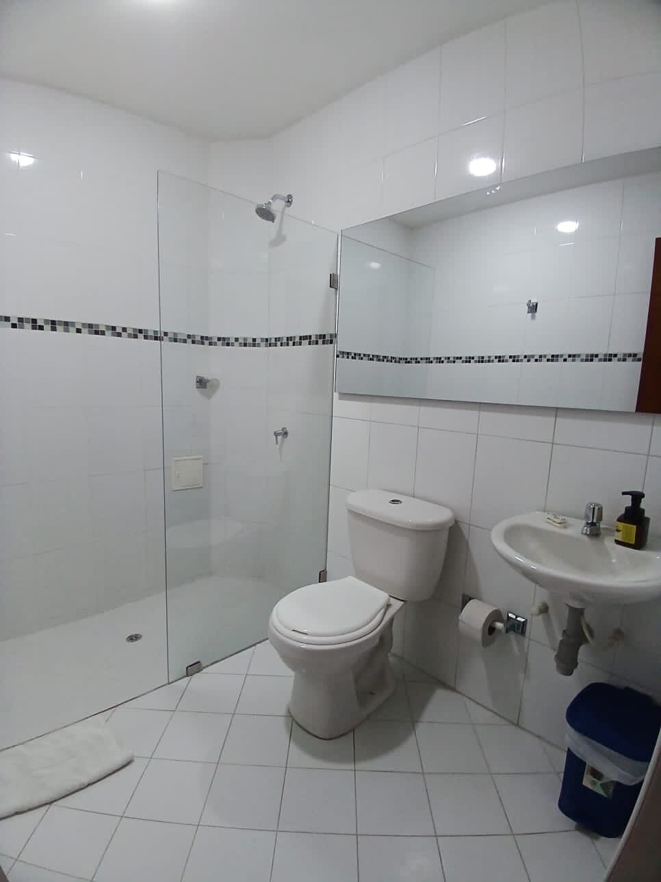 A bathroom with a glass-enclosed shower, a toilet, a sink, and a mirror above the sink.