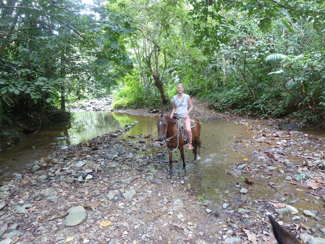 A person riding a horse through a rocky stream in a forested area.