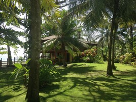 Vista desde la propiedad