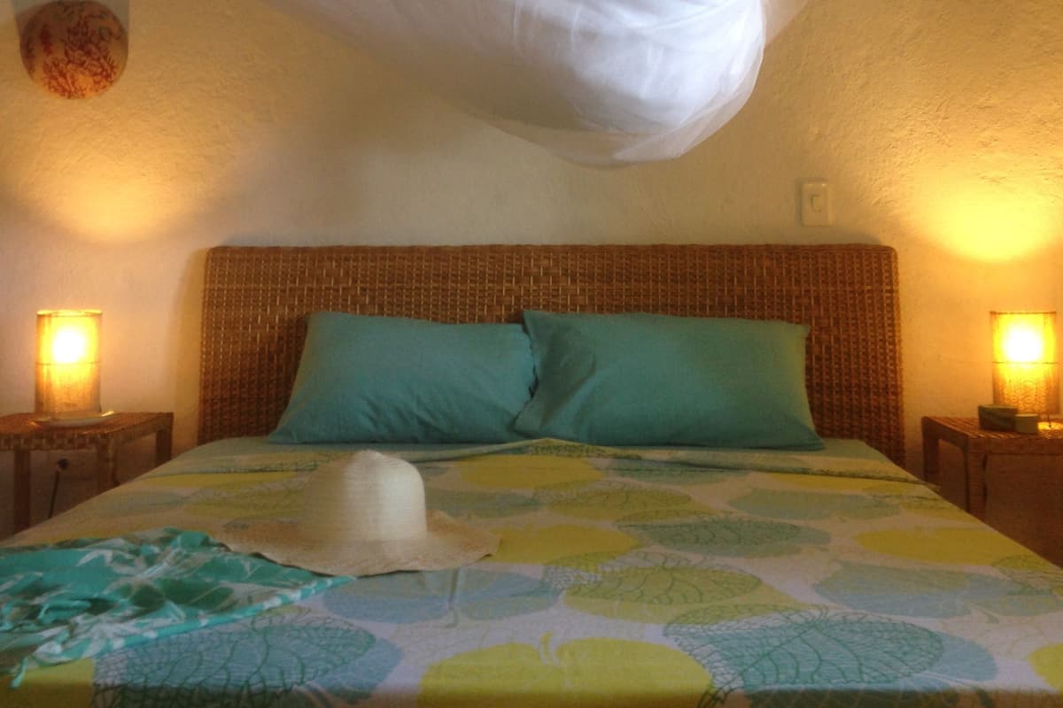 A bed with a mosquito net, two pillows, and a patterned bedspread.