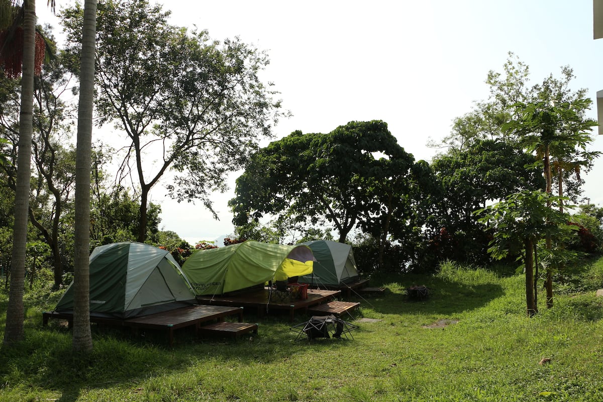 Two tents set up on a grassy area with wooden benches, surrounded by trees.