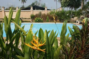 Una piscina al aire libre, sombrillas, sillones reclinables de piscina