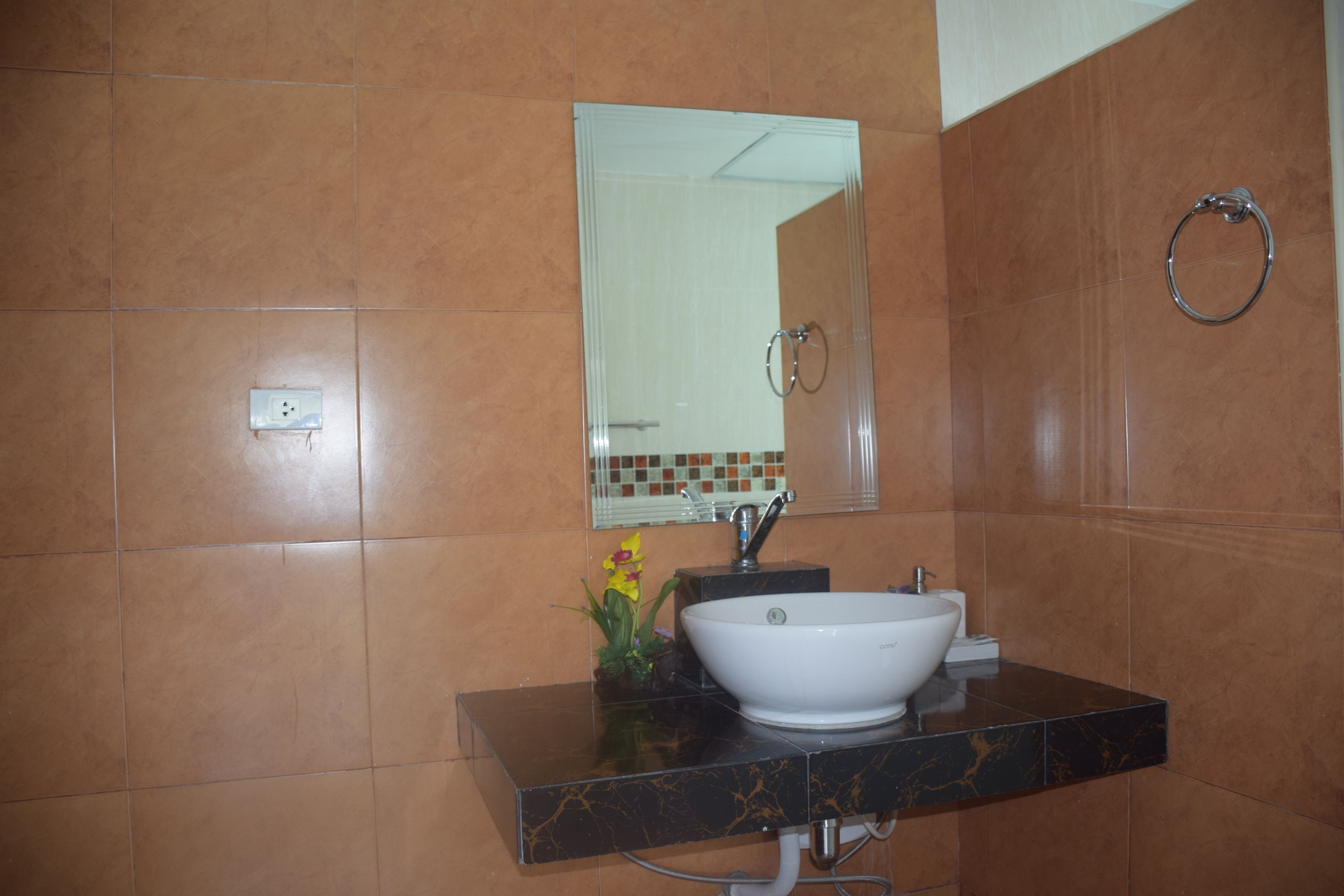 Un baño con un lavabo blanco, un espejo y un sujetatowels.