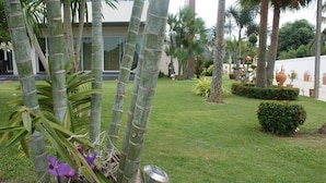 A well-maintained garden with bamboo plants, a lawn, and various potted plants. - Sumali Villa (Sing Buri)
