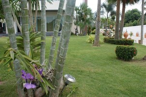 Jardín
