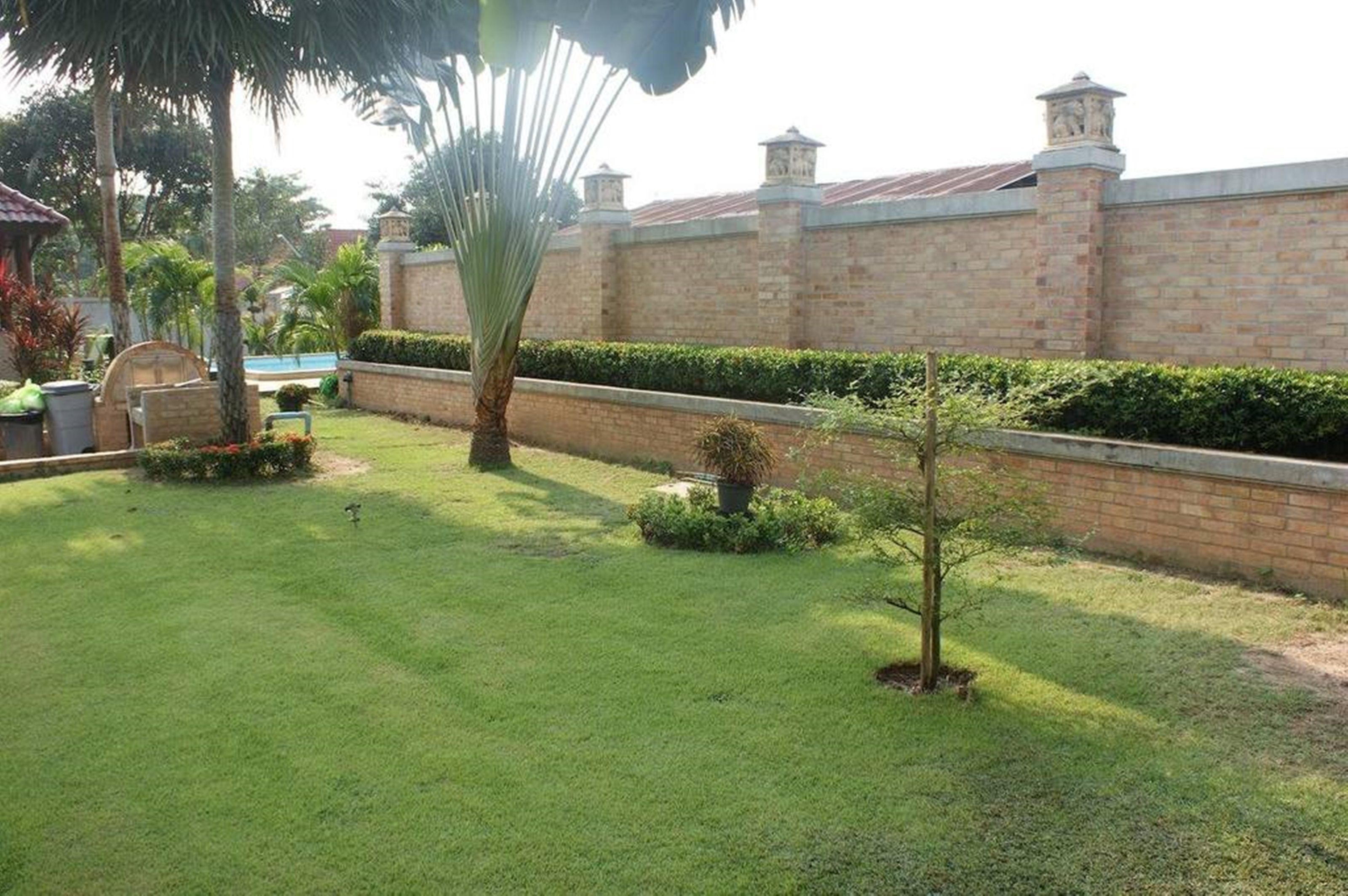 Un jardin bien entretenu, avec un mur en briques, des palmiers et un petit arbre.