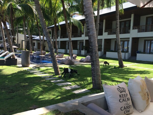 Un patio de resort con palmeras, una piscina y zonas de descanso.