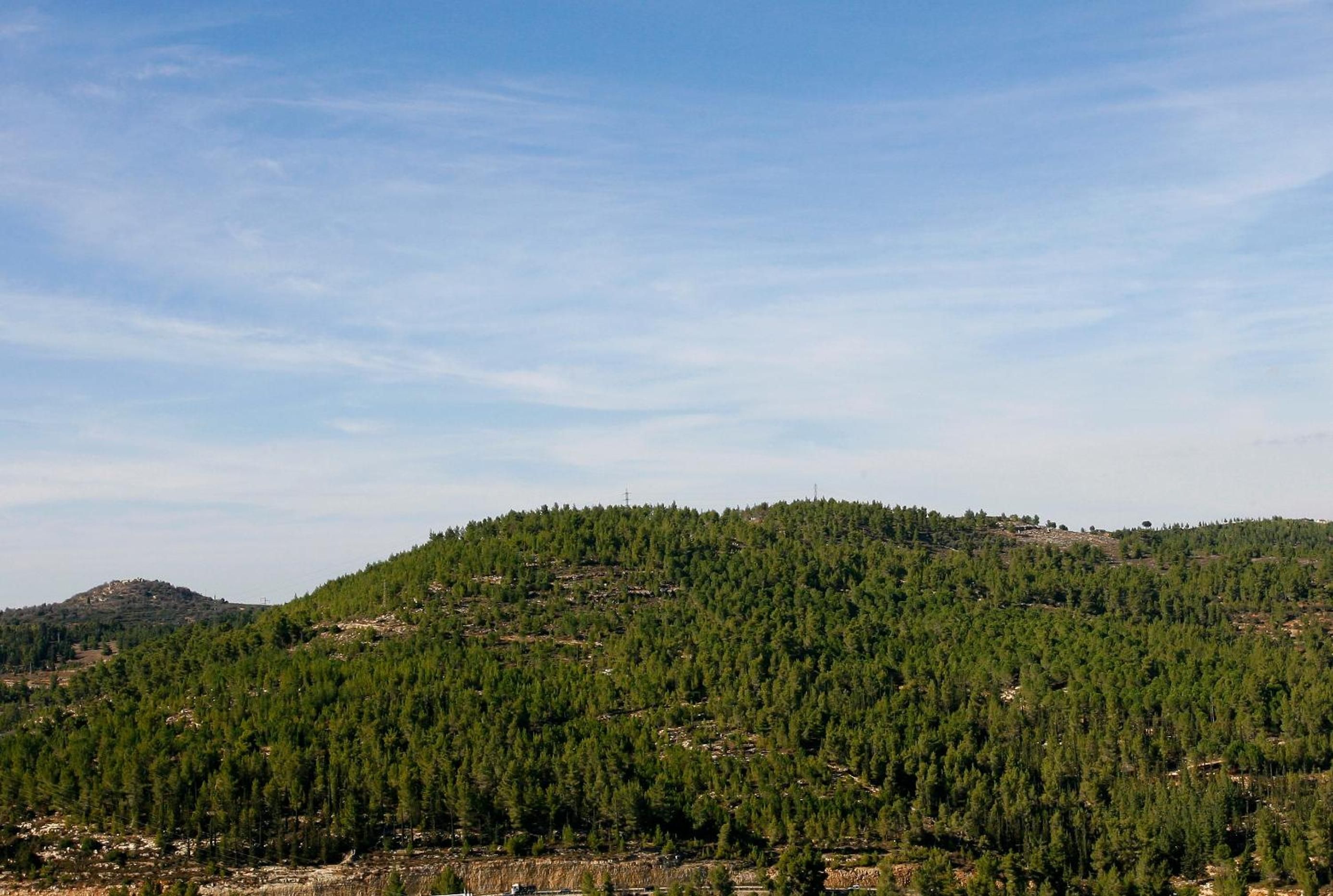 Eine hügelige Landschaft mit dichtem Wald und blauem Himmel.