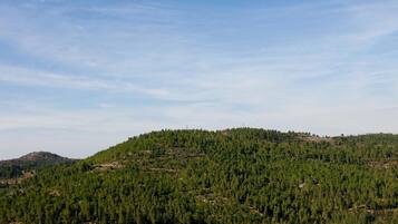 Eine hügelige Landschaft mit dichtem Wald und blauem Himmel.