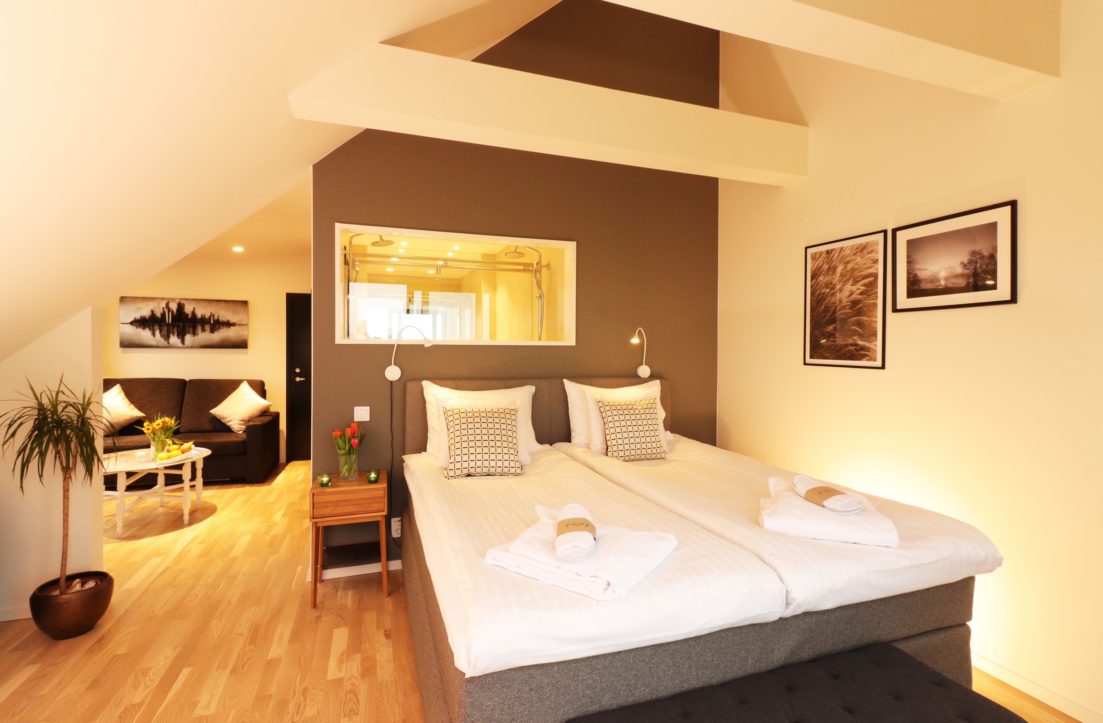 junior suite | hypo-allergenic bedding, soundproofing, iron/ironing board