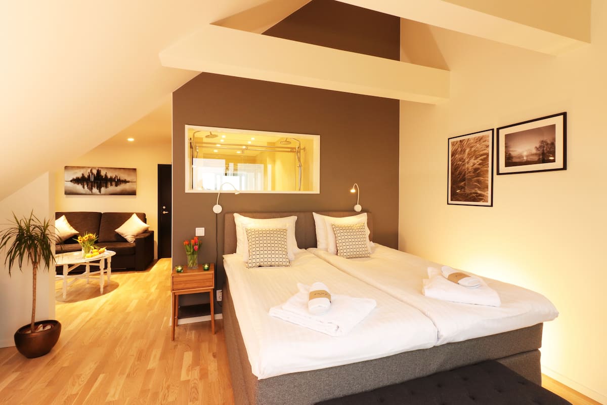 junior suite | hypo-allergenic bedding, soundproofing, iron/ironing board