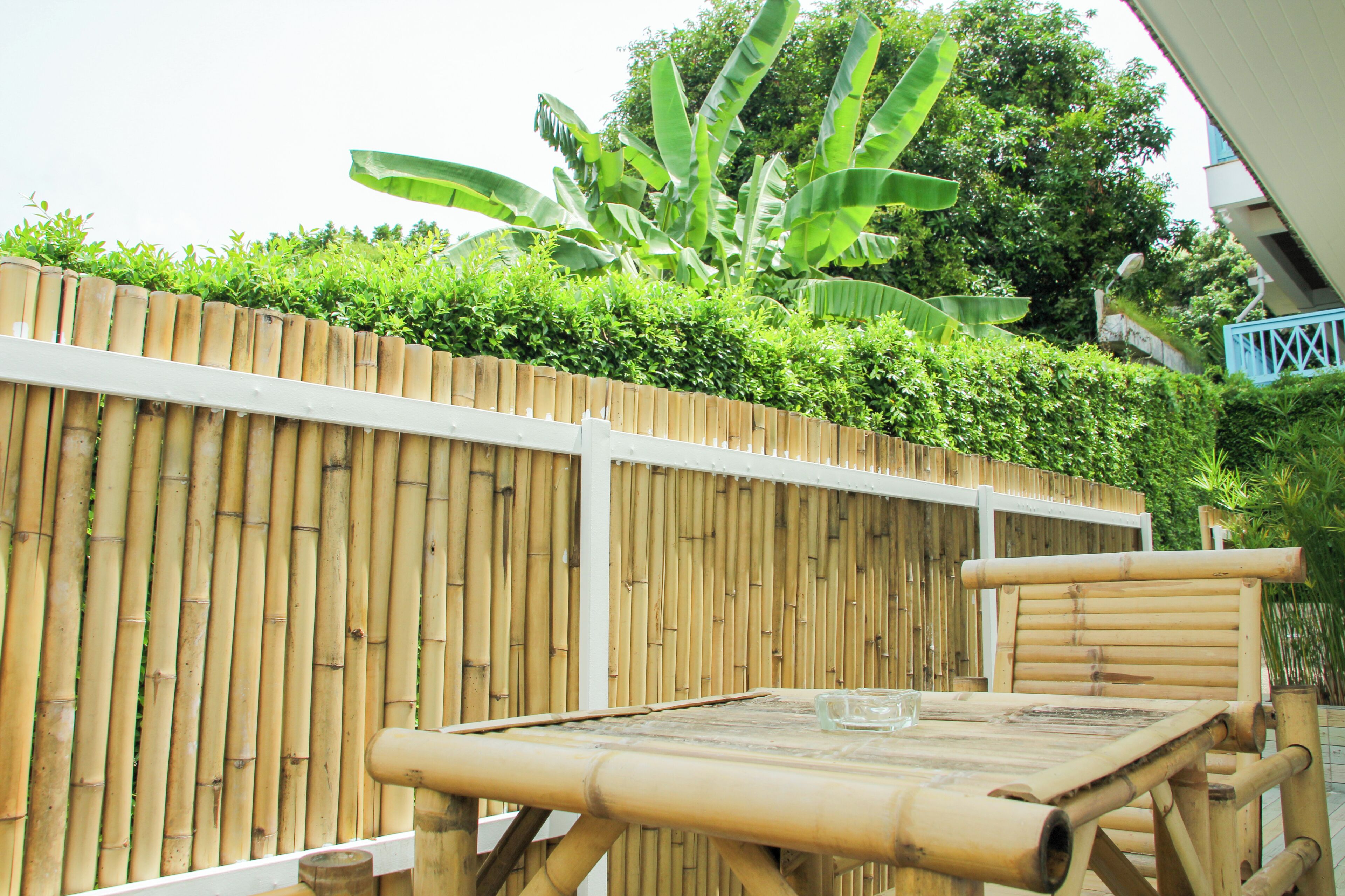 A bamboo fence, a table with a glass, and a chair.