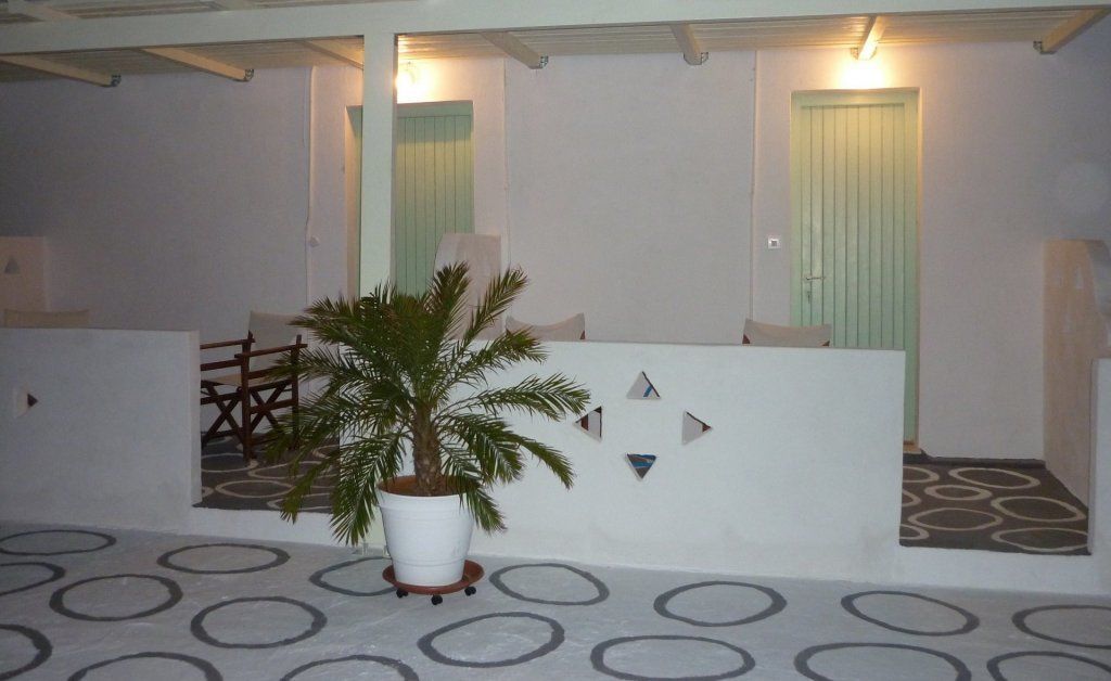 A hallway with a potted palm tree, a wooden gate, and a wall with geometric decorations.