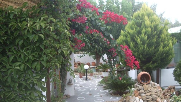 A garden pathway with a stone border, potted plants, and a small rock garden. - Kochylas Studios (Skiros)