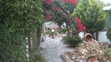 A garden pathway with a stone border, potted plants, and a small rock garden.
