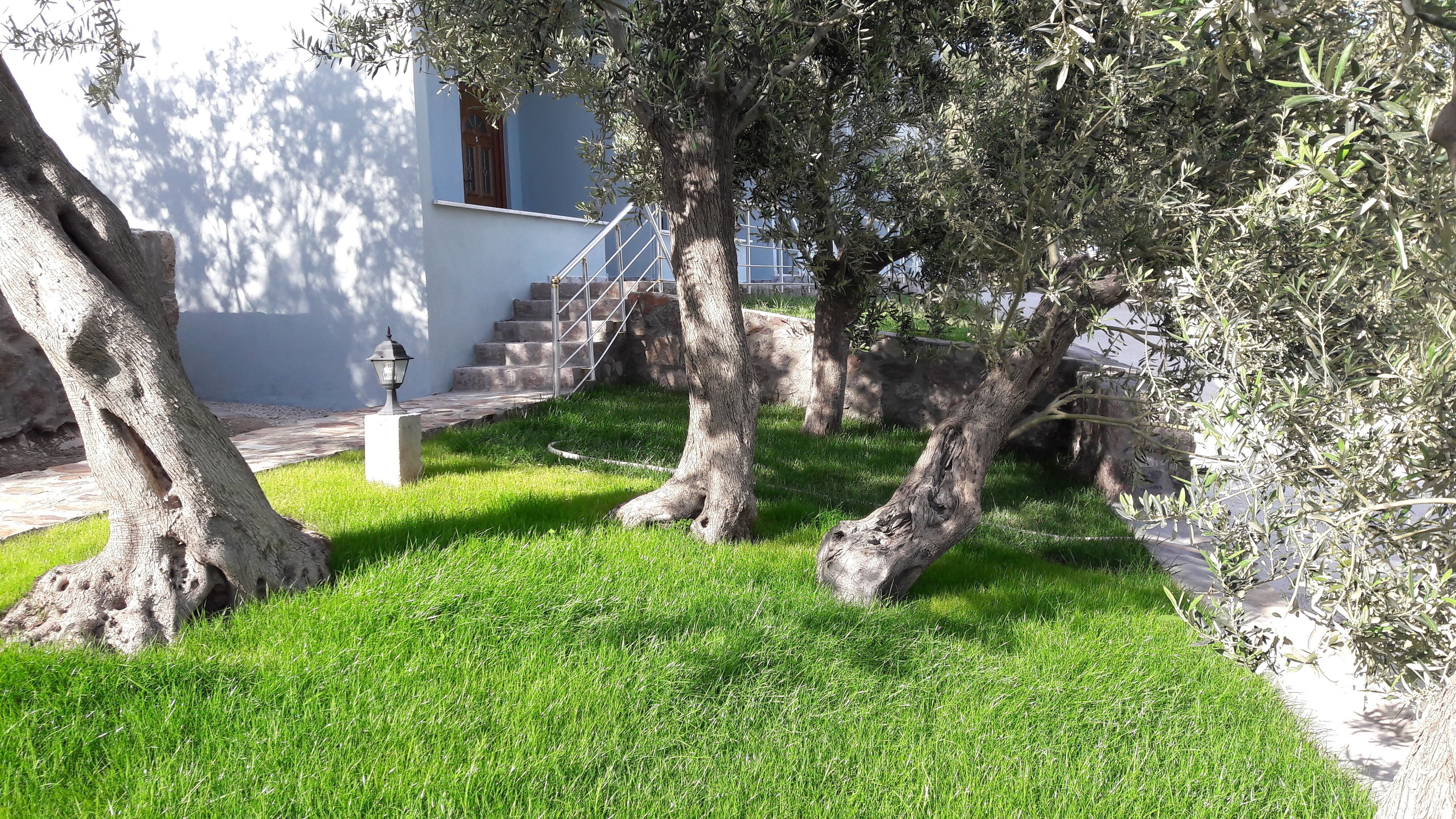 children’s play area – outdoor