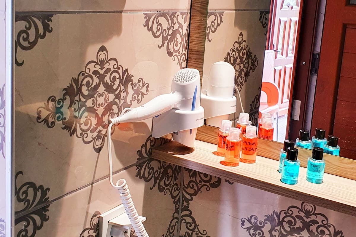 shower, free toiletries, hair dryer, slippers