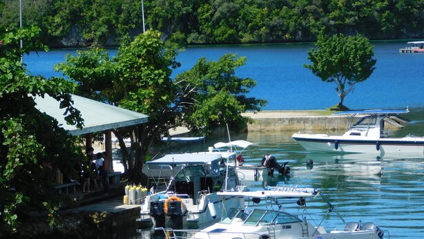 A marina with several boats docked, a covered area with seating, and lush greenery surrounding the water. - G.A.U. Mechang Lagoon Resort (Koror)