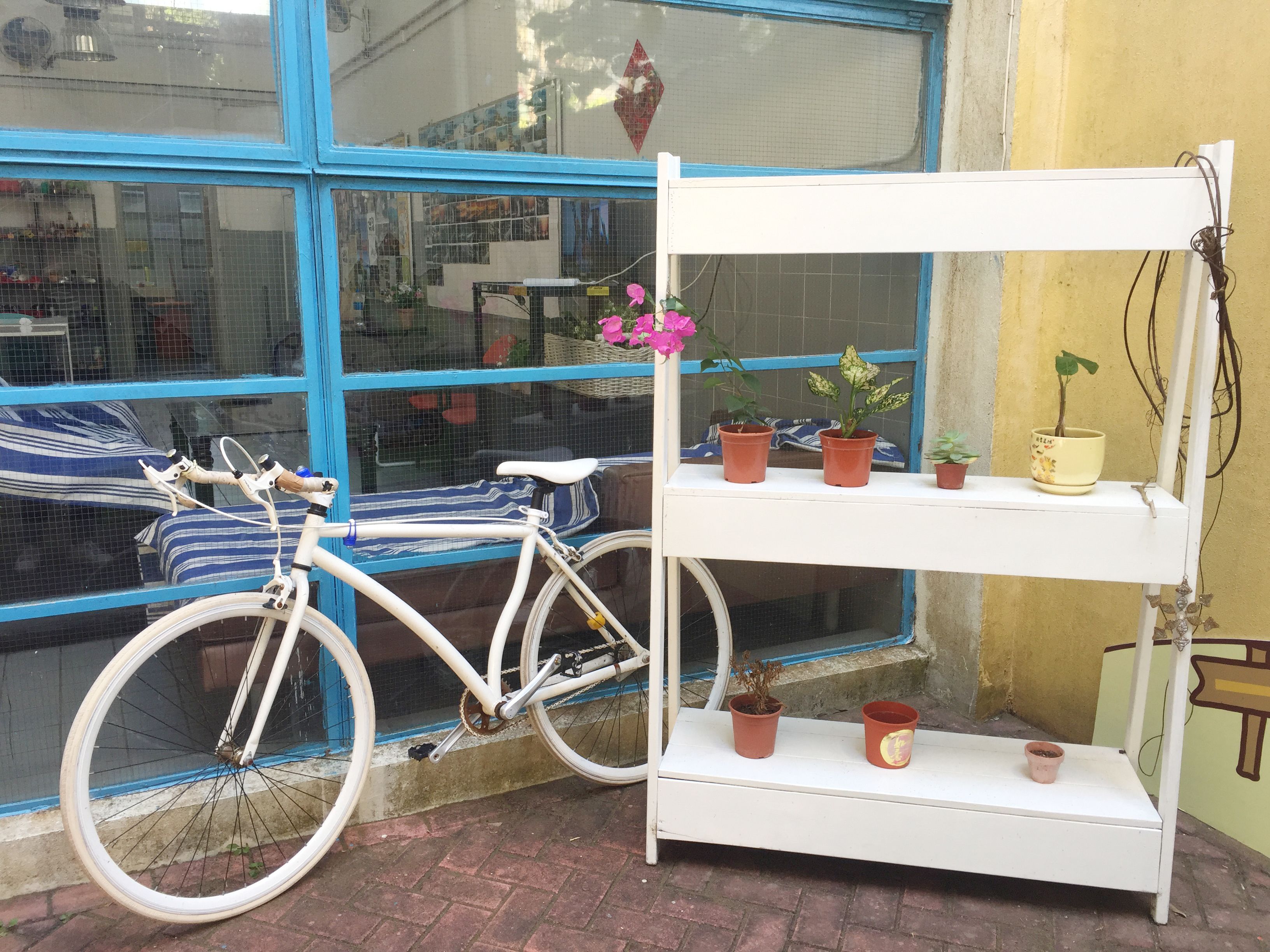 Foto - YHA Bradbury Jockey Club Youth Hostel