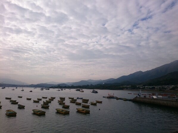 View from property - YHA Bradbury Jockey Club Tai Mei Tuk Youth Hostel (Tai Po)