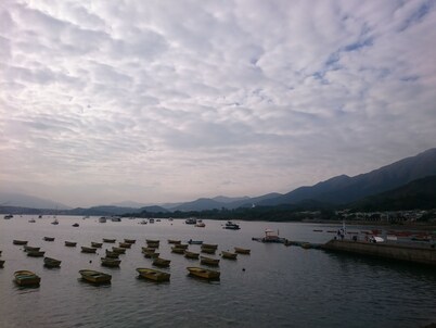 YHA Bradbury Jockey Club Tai Mei Tuk Youth Hostel