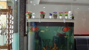 A reception area with a fish tank, potted plants, and a marble wall.