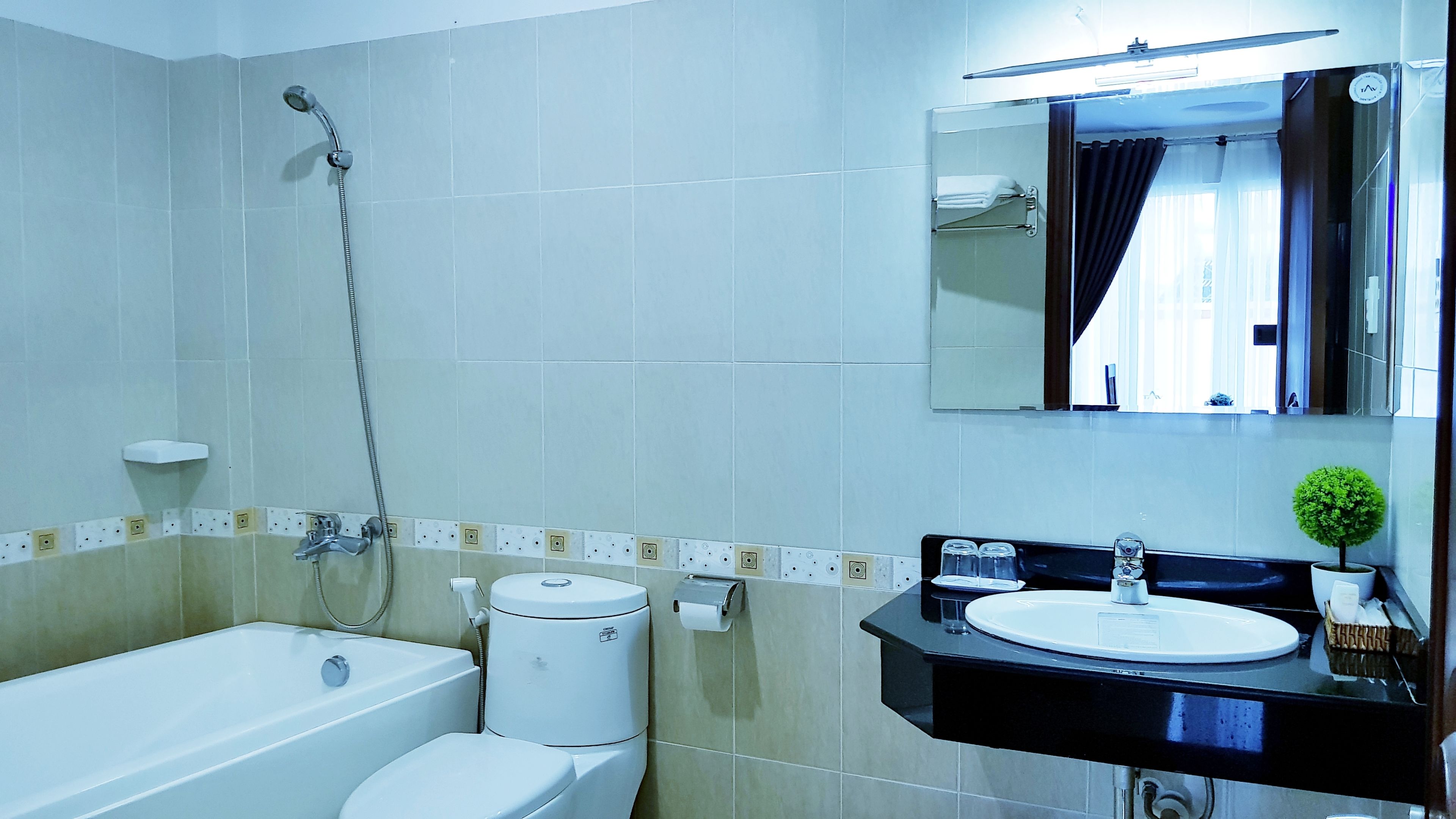 shower, hydromassage showerhead, free toiletries, hair dryer