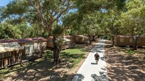 Unclassified image, 4 of 24, button - Residence Campo di Mare (Porto-Vecchio)
