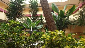 Jardín