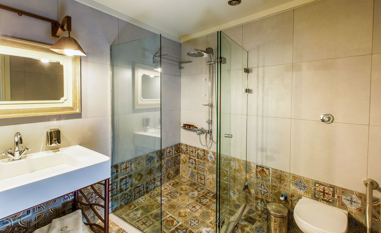 standard double room, accessible | bathroom | shower, free toiletries, hair dryer, bathrobes