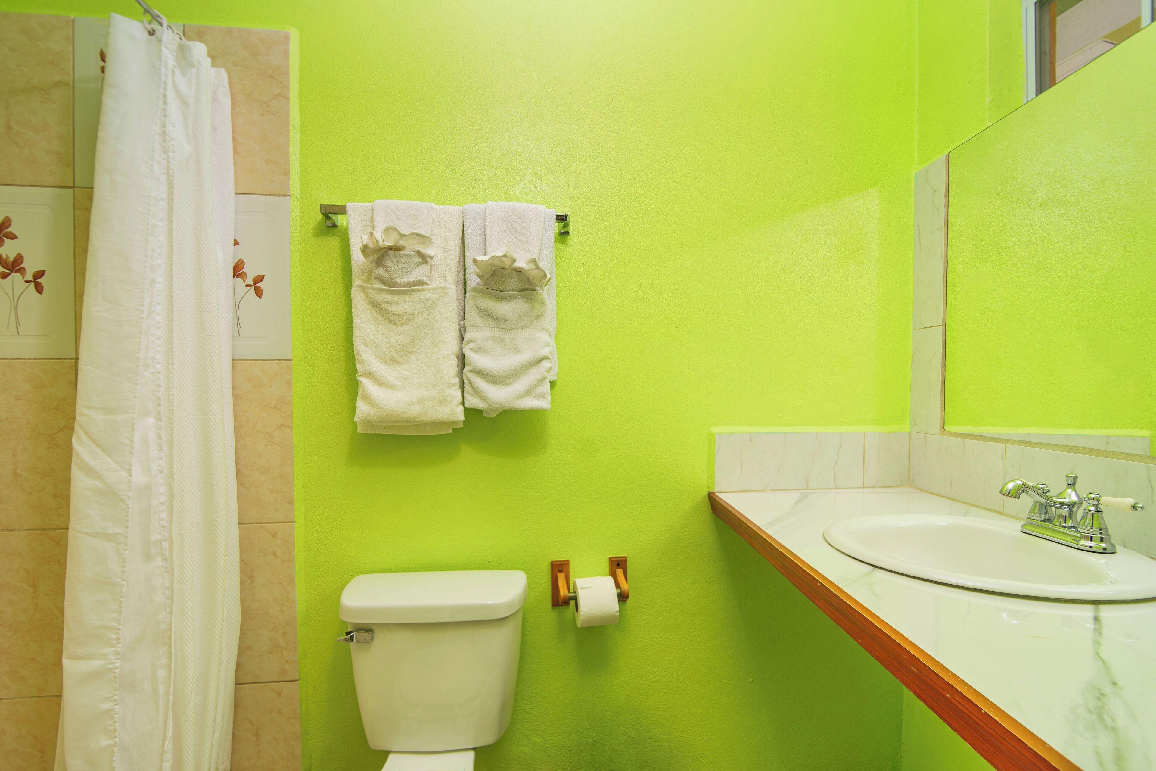 Een badkamer met een groene wand, een wit toilet, een wastafel met spiegel en twee handdoeken aan de muur.
