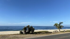 A beach with a palm tree, a bench, and a road. - Pousada Pratagy (Saquarema)
