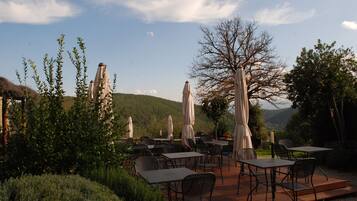 Un espace de restauration en plein air, avec des tables et des chaises, entouré de verdure et offrant une vue sur les montagnes en arrière-plan.