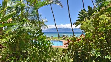 Condo, 1 Bedroom | Pool | Outdoor pool