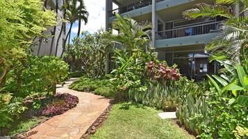 Condo, 1 Bedroom | Property grounds