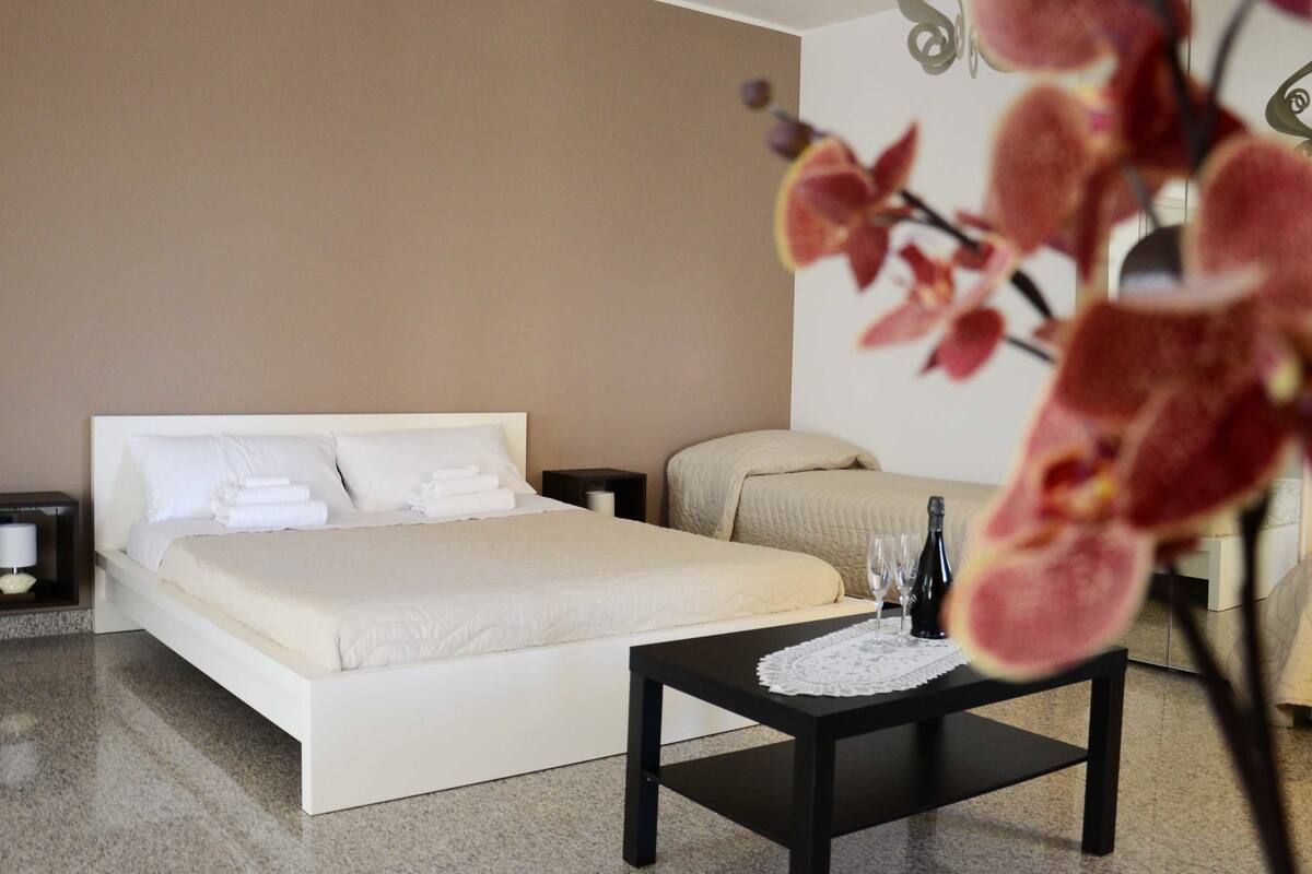 Habitación de hotel con cama, mesita de noche con una botella y vasos, una silla y una planta decorativa.