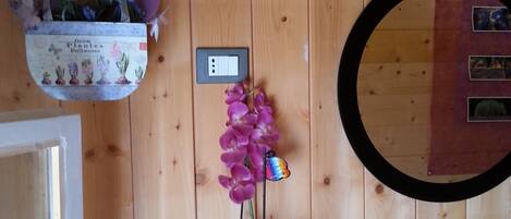 A bathroom with wooden paneling, a mirror, a sink, and a hanging plant basket.